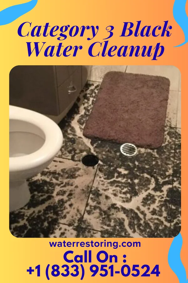 Category 3 Black Water Cleanup in Franklin Park, PA