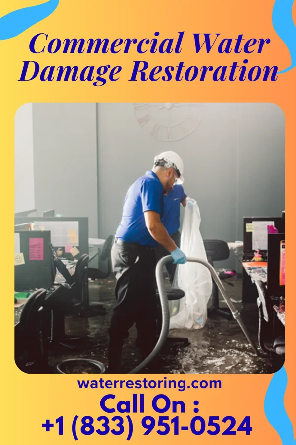 Commercial Water Damage Restoration in Franklin Park, PA