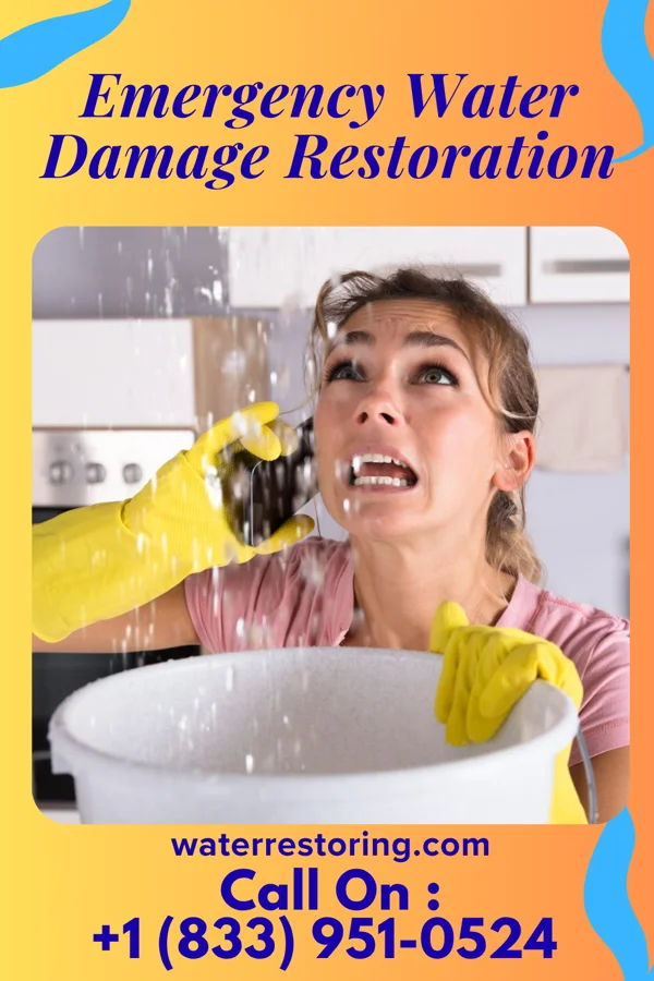 Emergency Water Damage Restoration in Franklin Park, PA