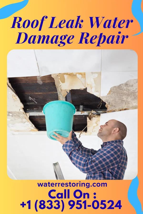Roof Leak Water Damage Repair in Franklin Park, PA