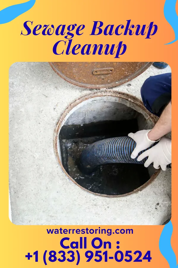 Sewage Backup Cleanup in Franklin Park, PA