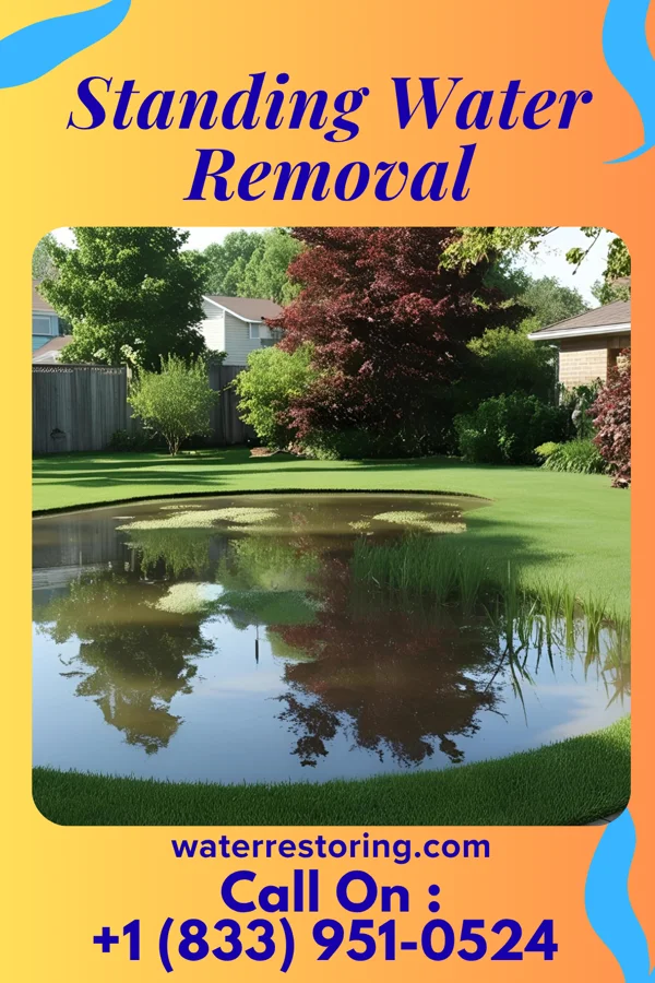 Standing Water Removal in Franklin Park, PA